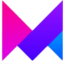 VidFlowLab icon